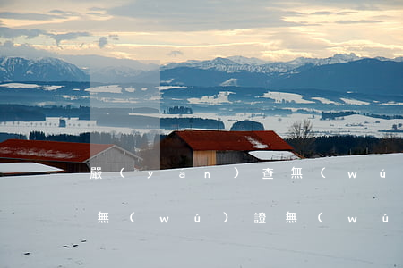 嚴(yán)查無(wú)證駕駛交通肇事(無(wú)證無(wú)照駕駛機(jī)動(dòng)車發(fā)生交通事故)