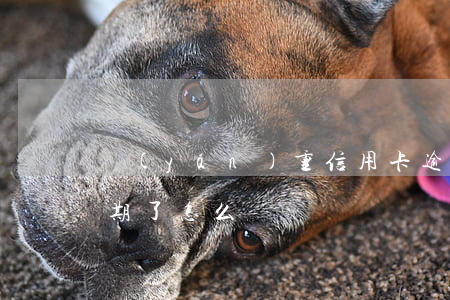 嚴(yán)重信用卡逾期怎么辦(信用卡 逾期了怎么辦)