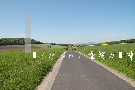 嚴(yán)重智力殘障者婚姻的法律效力