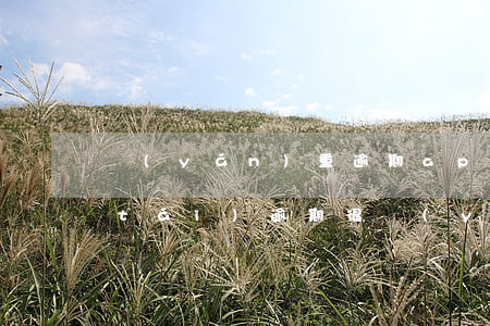 嚴(yán)重逾期app貸款(什么平臺(tái)逾期很嚴(yán)重也可以貸款)