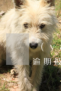 嚴(yán)重逾期信用卡還清解凍(信用卡逾期被凍結(jié)還完最低還款可以解凍嗎)