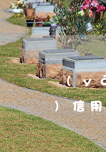嚴(yán)重逾期多久能申請(qǐng)信用卡（信用卡逾期多久能背負(fù)）