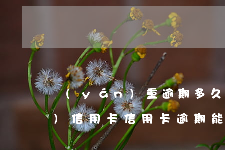 嚴(yán)重逾期多久能申請(qǐng)信用卡（信用卡逾期能逾多久）