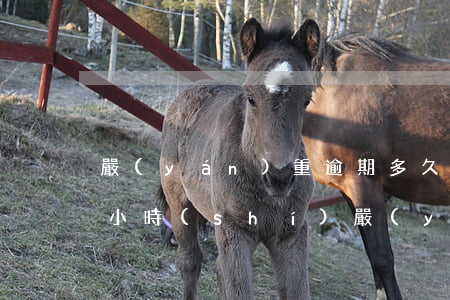 嚴(yán)重逾期多久能貸款(貸款逾期幾小時(shí)嚴(yán)重嗎)