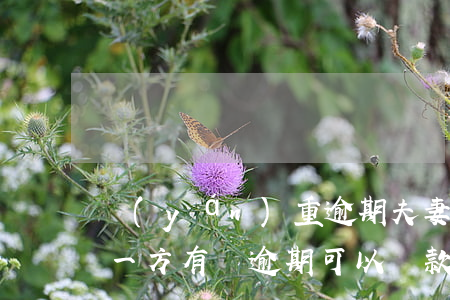 嚴(yán)重逾期夫妻共同貸款(夫妻雙方一方有過逾期可以貸款嗎)