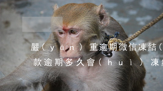 嚴(yán)重逾期微信凍結(jié)(貸款逾期多久會(huì)凍結(jié)微信)