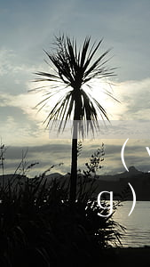 嚴(yán)重逾期才能做哪些網(wǎng)貸(網(wǎng)貸逾期會(huì)怎么樣,到底要不要還)