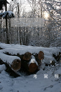 嚴(yán)重逾期能考駕照不（信用卡逾期考駕照）
