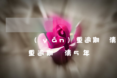 嚴(yán)重逾期還清5年(嚴(yán)重逾期還清5年)