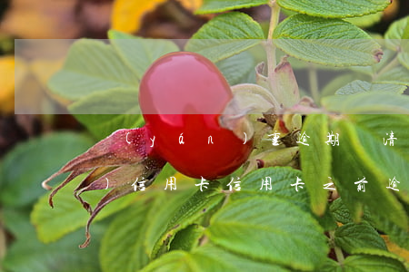 嚴(yán)重逾期還清后申請(qǐng)信用卡（信用卡之前逾期了還了）