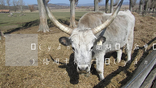 嚴(yán)重逾期還清后申請(qǐng)信用卡（信用卡嚴(yán)重逾期還款）