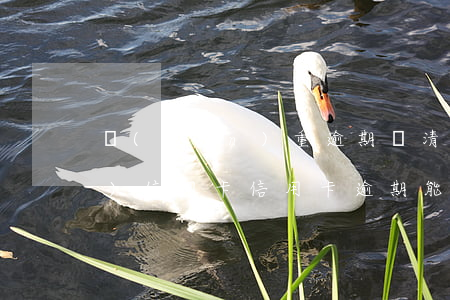 嚴(yán)重逾期還清后申請(qǐng)信用卡（信用卡逾期能不能回家）