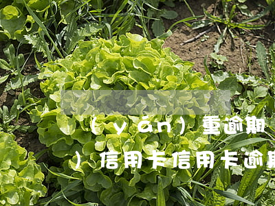 嚴(yán)重逾期還清后申請(qǐng)信用卡（信用卡逾期還清貸款）