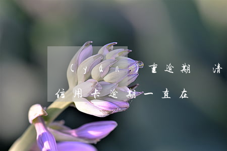 嚴(yán)重逾期還清后申請信用卡（如果信用卡逾期一直在還）