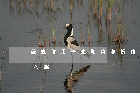 嚴查信用卡逾期會怎樣(信用卡長時間逾期怎么辦)