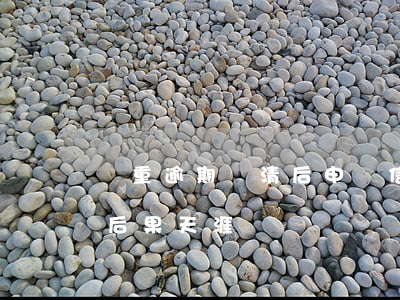 嚴重逾期還清后申請信用卡（信用卡逾期還款后果天涯）