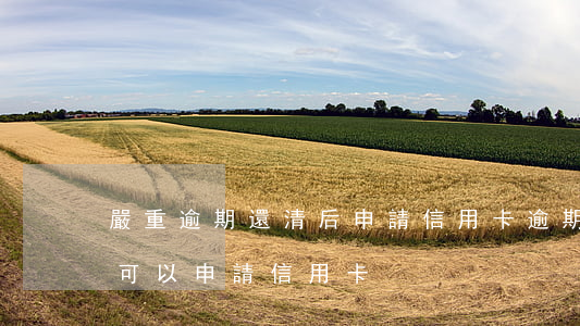 嚴重逾期還清后申請信用卡(逾期還清后多久可以申請信用卡)