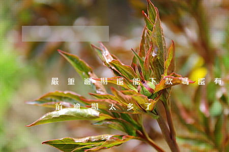 嚴重逾期還能下款嗎(還有什么可以下款的,當前逾期太多了)