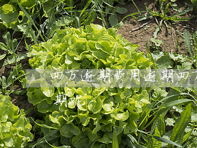 四万逾期费用(逾期四万多还了最低怎么还逾期呢)