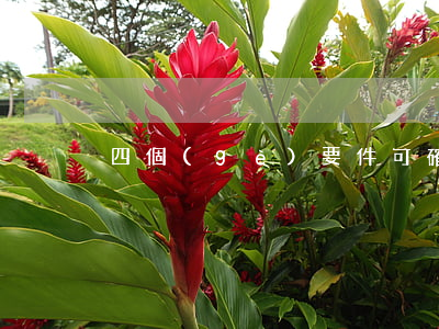 四個(gè)要件可確定離婚損害賠償