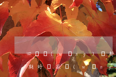 四個網(wǎng)貸都逾期怎么辦(同時逾期好幾家網(wǎng)貸)