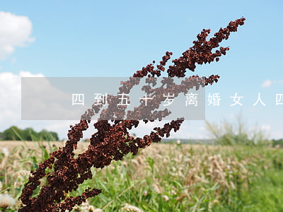 四到五十岁离婚女人(四到五十岁离婚女人)