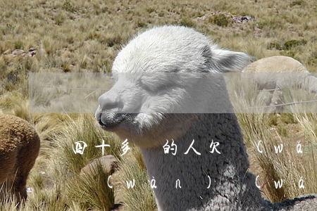四十多歲的人欠網(wǎng)貸(欠了40萬(wàn)網(wǎng)貸)