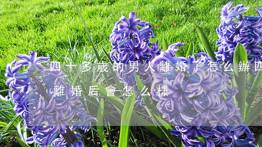 四十多歲的男人離婚了怎么辦(四十五歲男人離婚后會怎么樣)