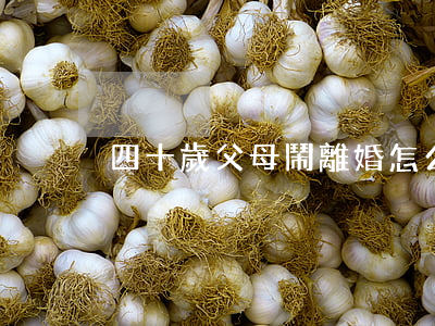 四十歲父母鬧離婚怎么辦