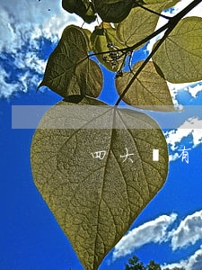 四大國有銀行信用卡逾期最新