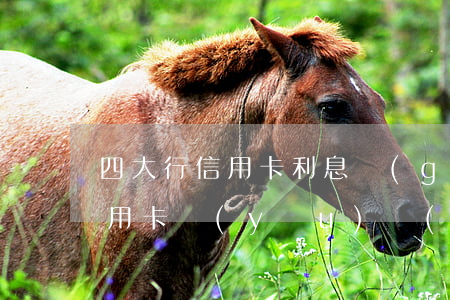 四大行信用卡利息規(guī)則(四大行信用卡優(yōu)勢(shì))