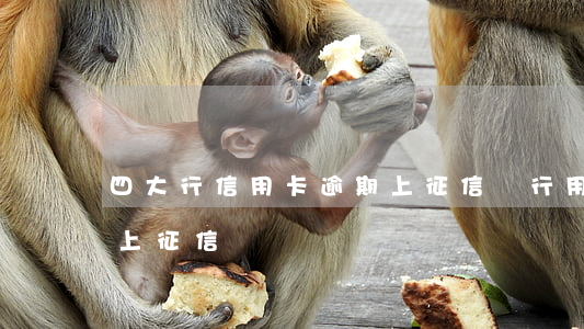 四大行信用卡逾期上征信嗎(行用卡逾期幾天上征信)