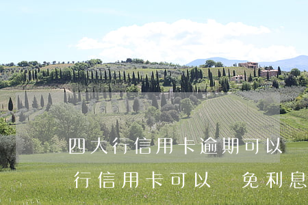 四大行信用卡逾期可以減免嗎光大(欠四大銀行信用卡可以減免利息嗎)