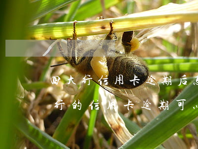 四大行信用卡逾期后怎么协商分期-四大银行的信用卡逾期可以协商分期还款吗