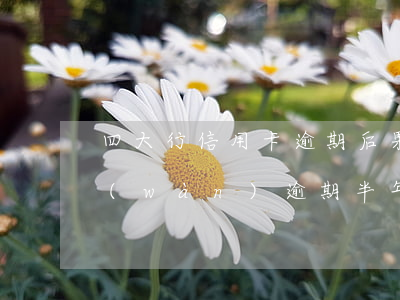 四大行信用卡逾期后果光大(光大信用卡4萬(wàn)逾期半年多)