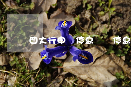 四大行申請停息掛賬 停息掛賬哪個銀行好申請