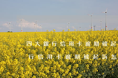 四大銀行信用卡逾期被起訴怎么辦-四大銀行信用卡逾期被起訴怎么辦理
