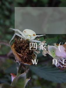 四家網(wǎng)貸面臨逾期怎么辦(網(wǎng)貸欠款逾期四個(gè)月會(huì)怎樣)