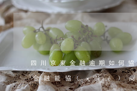 四川京東金融逾期如何協(xié)商(京東金融能協(xié)商還款嗎)