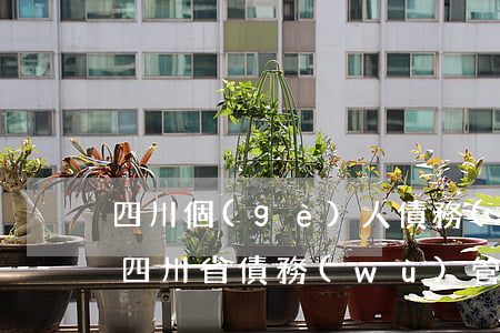 四川個(gè)人債務(wù)逾期方式-四川省債務(wù)管理辦法