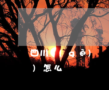 四川個(gè)體戶國稅逾期申報(bào)怎么辦