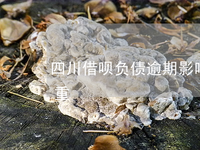 四川借呗负债逾期影响大吗(借呗逾期有多严重)