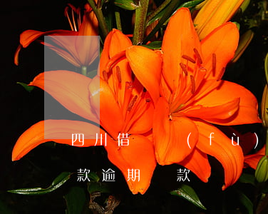 四川借唄負(fù)債逾期處理方法(借唄欠款逾期還款)