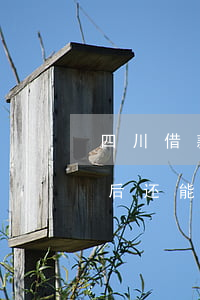四川借款逾期停息挂账方式-停息挂账还清后还能申请贷款吗