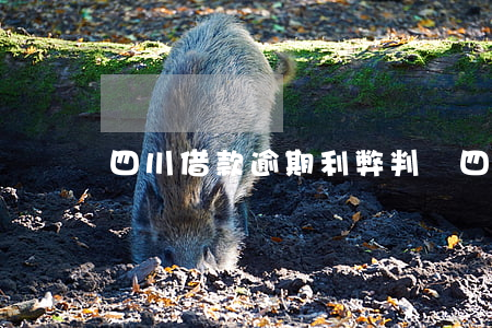 四川借款逾期利弊判決（四川借款逾期利弊）