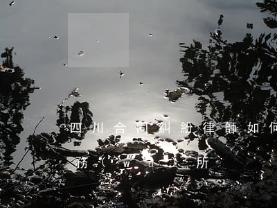 四川合同糾紛律師如何委托(四川川商律師事務(wù)所)