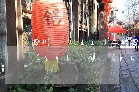 四川單獨(dú)二胎(四川二胎政策什么時(shí)候開(kāi)放的)