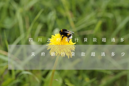 四川天府銀行貸款超過多少天算逾期-四川天府銀行貸款超過多少天算逾期了