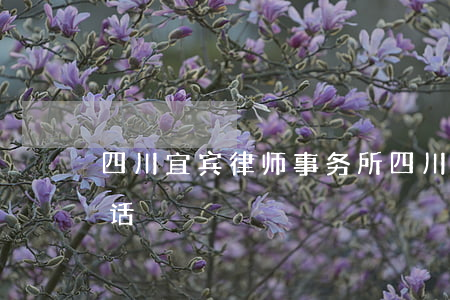 四川宜宾律师事务所(四川宜宾律师事务所电话)