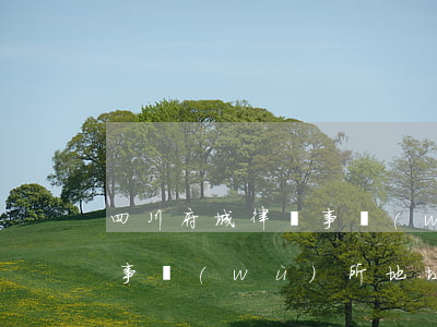 四川府城律師事務(wù)所(四川府城律師事務(wù)所地址)